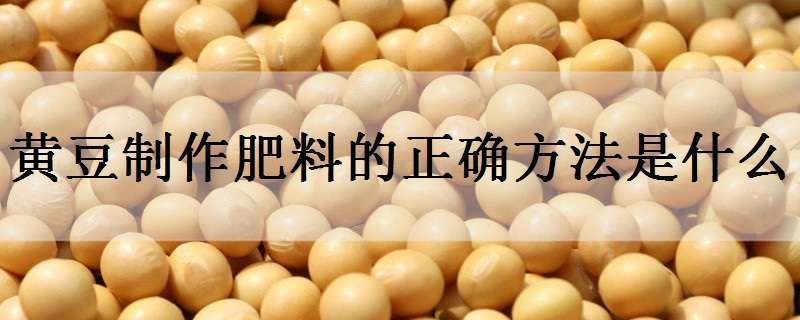 黄豆制作肥料的正确方法是什么 黄豆如何制作肥料