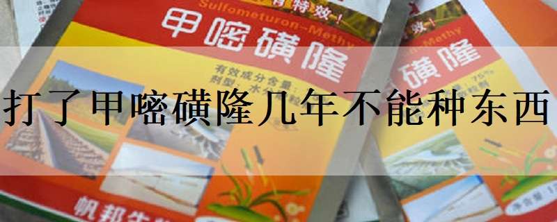 打了甲嘧磺隆几年不能种东西 打过甲嘧磺隆的地能种什么