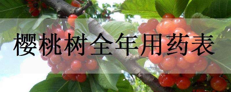樱桃树全年用药表