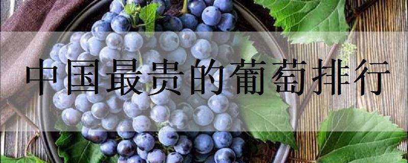 中国最贵的葡萄排行（中国目前最贵的葡萄品种）