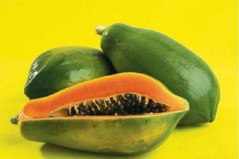 木瓜哪个品种最甜 木瓜哪个品种最甜又好吃