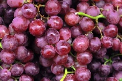 葡萄着色期施什么肥 葡萄着色期施什么肥最好呢