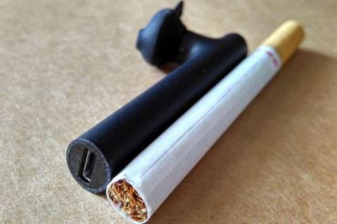 花盆里有小飞虫怎么办 家里花盆里有小飞虫怎么办