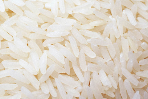 籼稻和粳稻哪个好吃（籼稻和粳稻的口感）