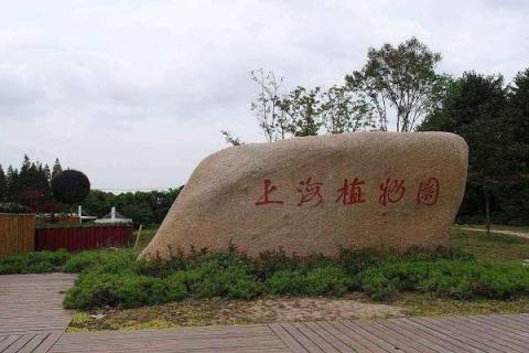 上海植物园有什么好玩的景区 上海植物园有什么好玩的景区嘛