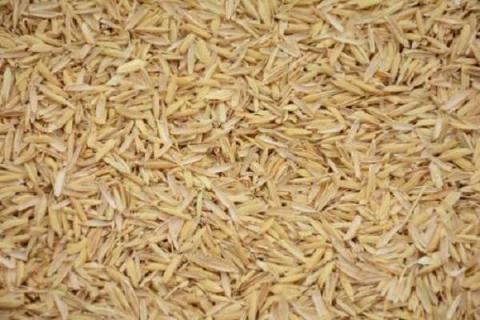 稻壳怎样处理才能养花 谷壳怎么发酵最简单