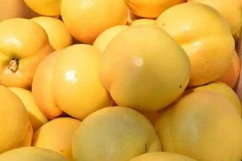 黄金油桃和黄桃的区别是什么 黄金油桃和黄桃的区别是什么意思