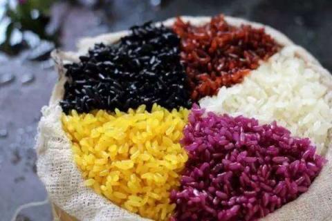 五彩米饭具体是哪五种植物
