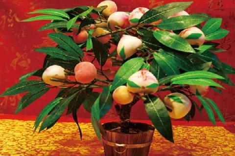 蟠桃树盆栽可以在室内养殖吗 蟠桃树盆栽可以在室内养殖吗冬天