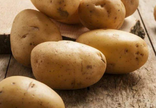 土豆什么时候种最合适 土豆养殖技巧总结