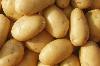 让土豆增产的种植管理技巧有哪些