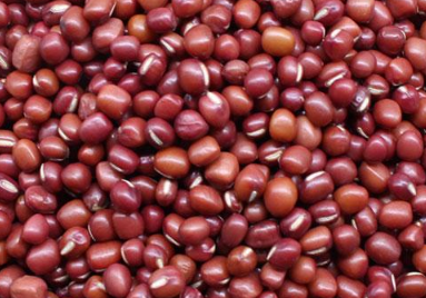红小豆高产种植方法 红小豆高产种植方法视频