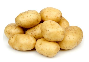 马铃薯的高产种植管理技术 马铃薯高产栽培管理技术