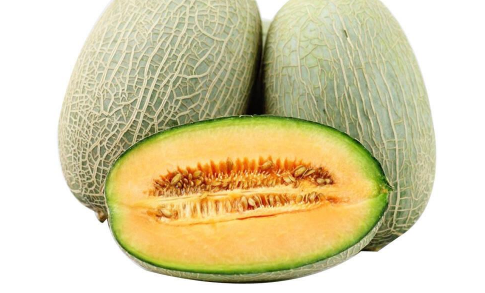 哈密瓜的种植条件是什么（哈密瓜的种植技术与栽培）