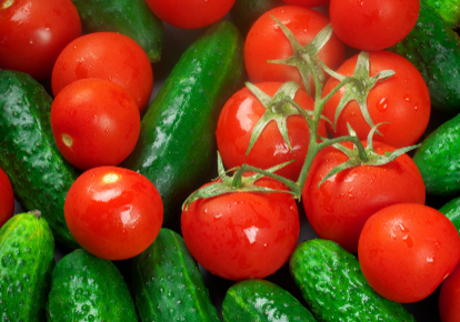 大棚黄瓜番茄如何合理施肥 大棚黄瓜施肥配方方案