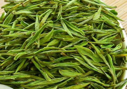 安吉白茶的种植技术要点 安吉白茶如何种植