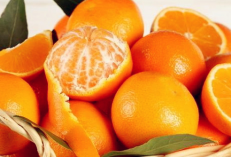 立冬过后采摘柑橘需要注意哪些要点 柑橘立冬后怎样管理