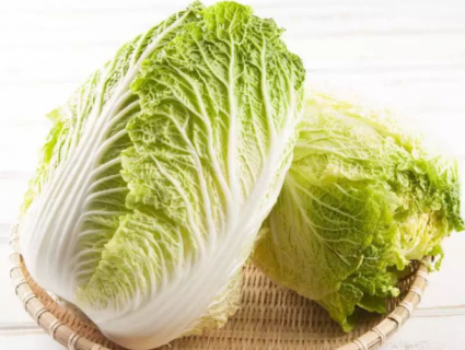 种白菜如何补施钙肥 白菜怎样补钙肥