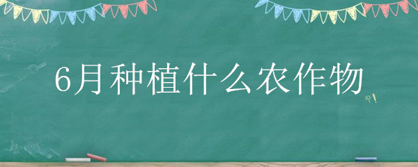 6月种植什么农作物