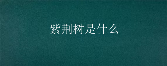 紫荆树是什么（紫荆树是什么样子的）