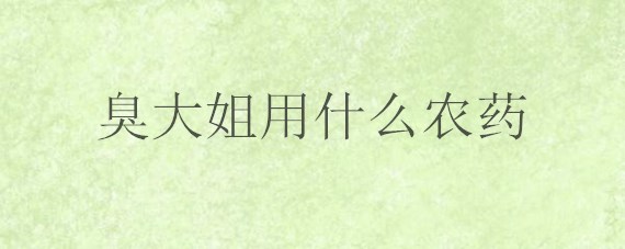 臭大姐用什么农药 臭大姐用什么农药杀虫