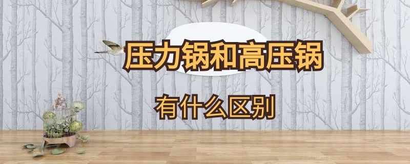 压力锅和高压锅有什么区别 高压锅和电压力锅有什么区别