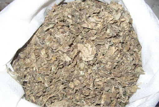 艾叶 艾叶的功效与作用及用法