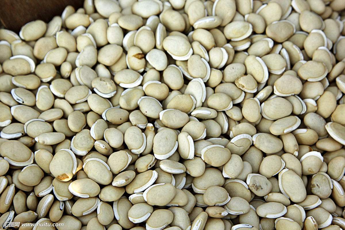什么是白扁豆它有什么好处 白扁豆主要作用