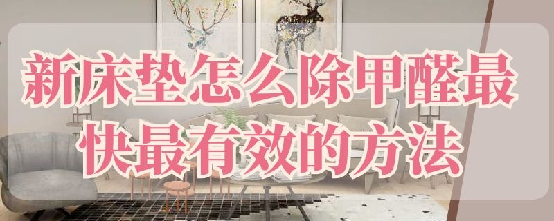 新床垫怎么除甲醛最快最有效的方法 清除甲醛的最佳方法