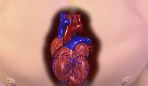 心肌炎的症状及治疗措施 心肌炎的症状及治疗措施有哪些
