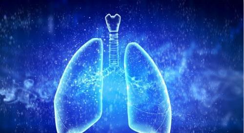 肺透明膜病 肺透明膜病是什么意思