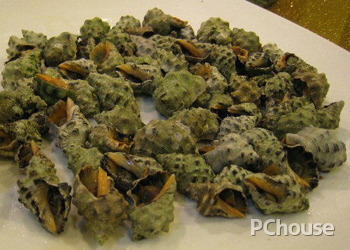 食用苦螺的注意事项(食用苦螺的注意事项)