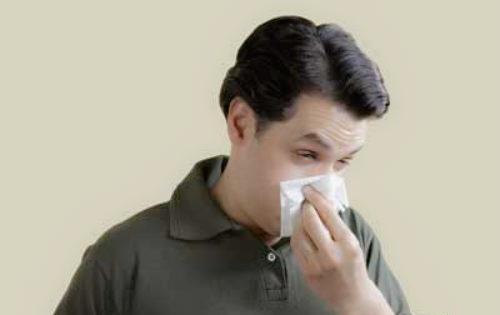 过敏性鼻炎有哪些食疗法？（过敏性鼻炎食疗最好的方法有哪些）
