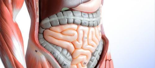 肠梗阻的原因 肠梗堵塞是什么原因引起的