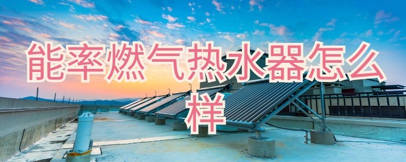 能率燃气热水器怎么样（能率燃气热水器怎么样?）