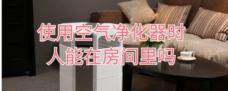 使用空气净化器时人能在房间里吗（空气净化器使用时能否有人）