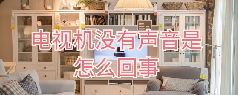 电视机没有声音是怎么回事（小米电视机没有声音是怎么回事）