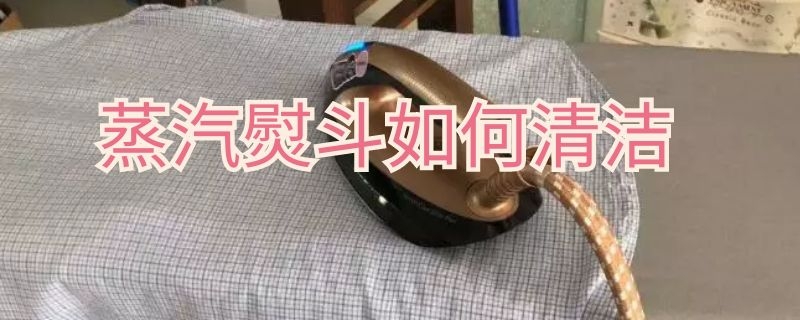 蒸汽熨斗如何清洁 蒸汽熨斗如何清洁水垢