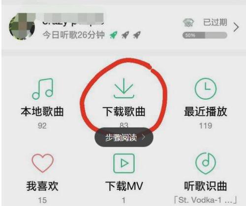 IPADqq音乐下载的歌曲清空了怎么找回?