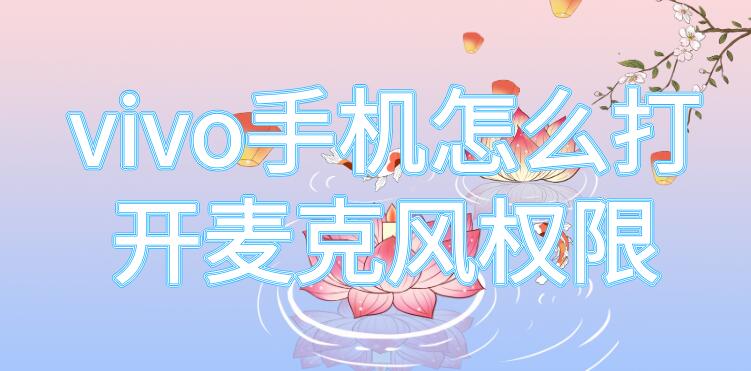 vivo手机怎么打开麦克风权限 vivo手机怎么打开麦克风权限管理