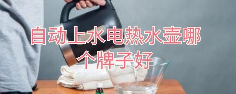 自动上水电热水壶哪个牌子好（自动上水电水壶哪个品牌好）