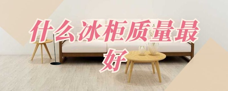 什么冰柜质量最好（什么冰柜质量最好省电）