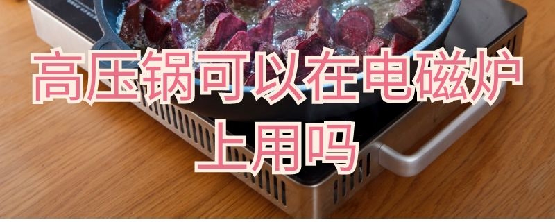 高压锅可以在电磁炉上用吗（苏泊尔高压锅可以在电磁炉上用吗）