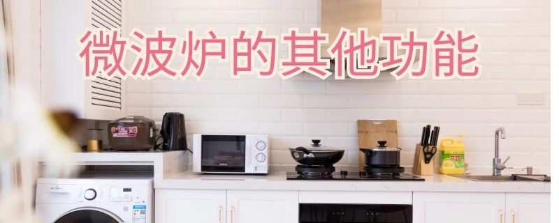 微波炉的其他功能（微波炉的其他功能可以用 加热用不了）