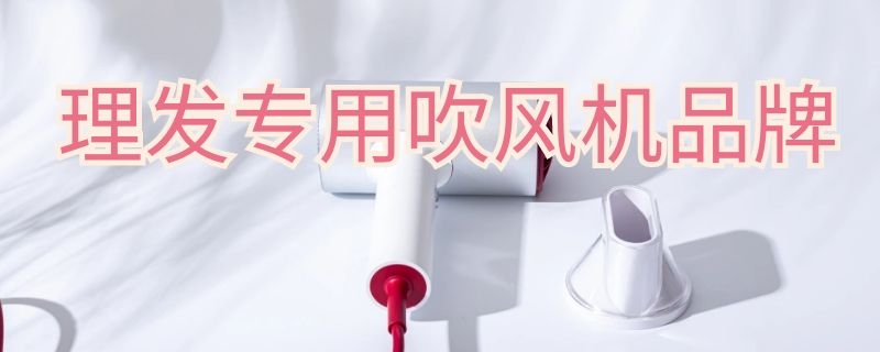 理发专用吹风机品牌 理发店专用的吹风机品牌