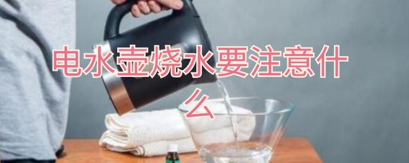 电水壶烧水要注意什么 电水壶烧水要注意什么细节