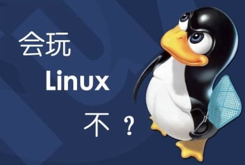 Linux系统安装Mongo扩展的方法（mongo 安装）