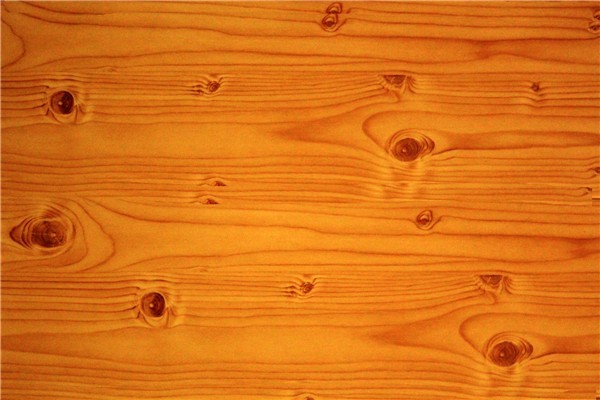 木地板受潮应急处理法有什么 木地板受潮应急处理法有什么要求