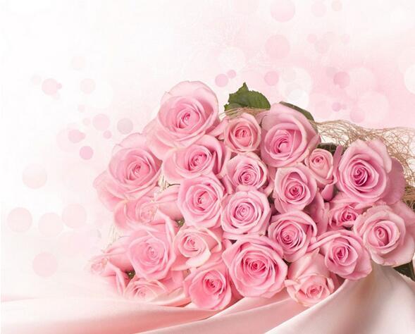 粉玫瑰花语是什么 18朵粉玫瑰花语是什么