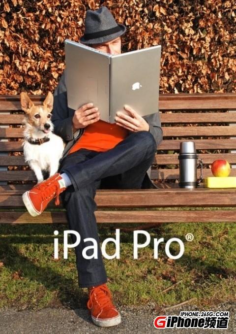 12.9寸iPad 12.9寸ipadpro